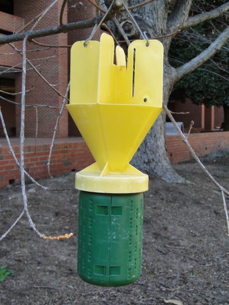 Pheromone Traps - Traps for Greenhouse Insects - Harvesso